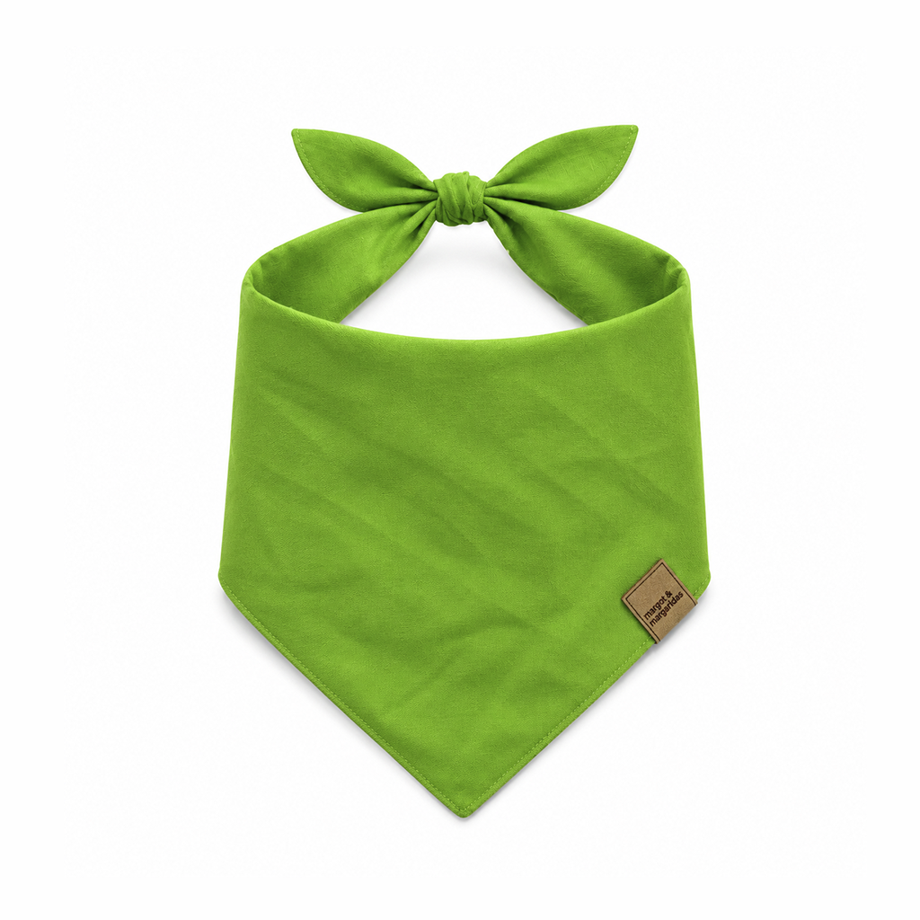 Bandana - Bandeirinhas
