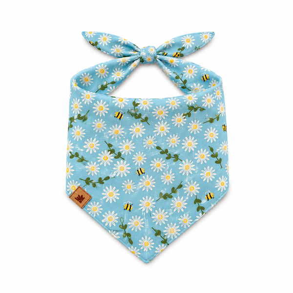Bandana - Girassol Azul
