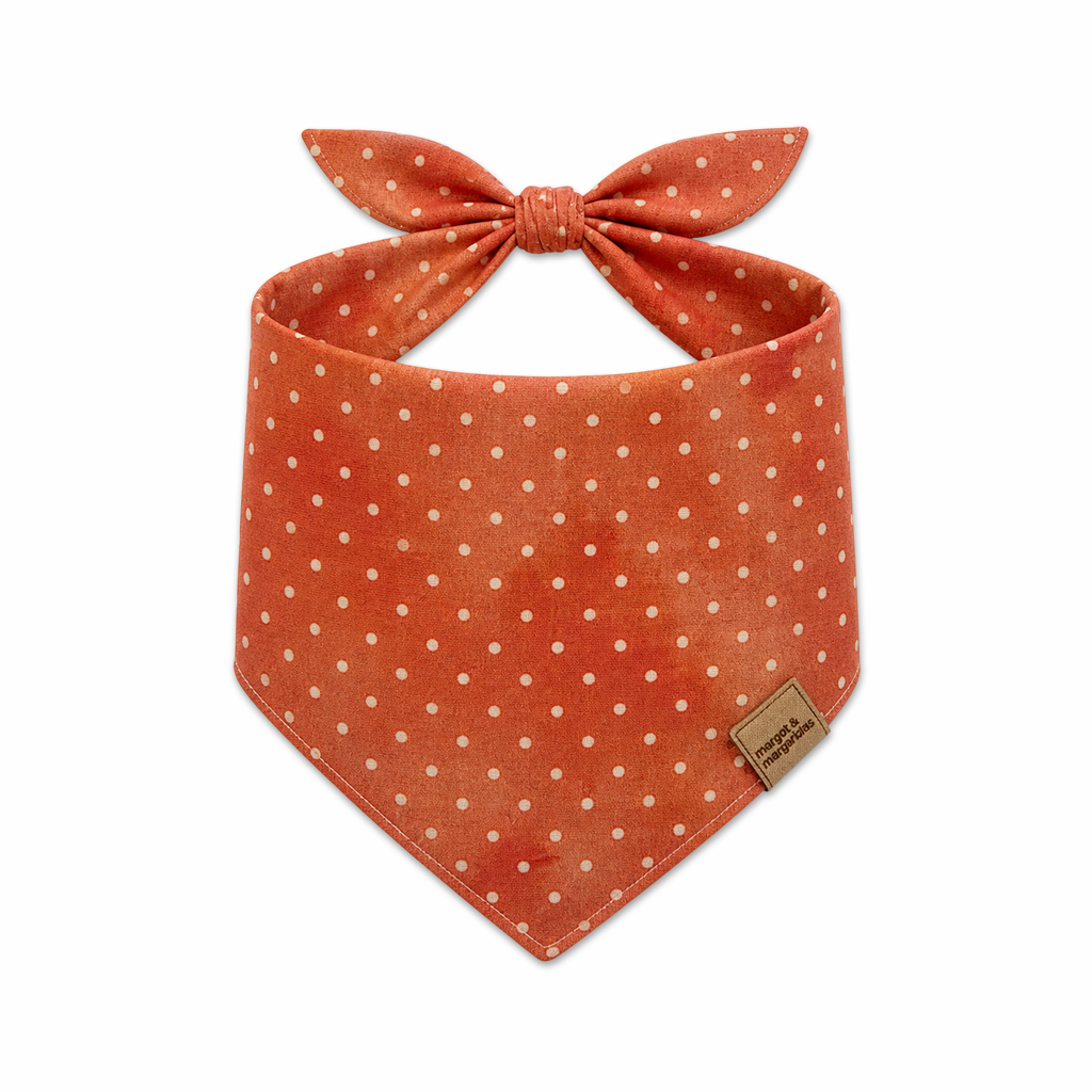 Bandana - Chevron