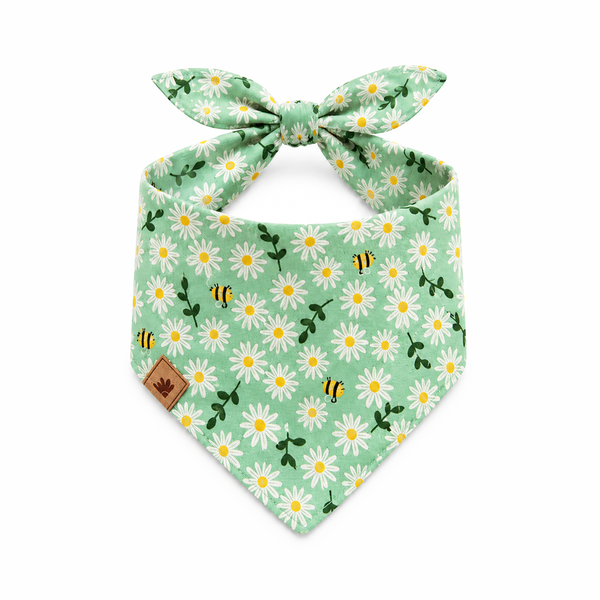 Bandana - Girassol Abelha