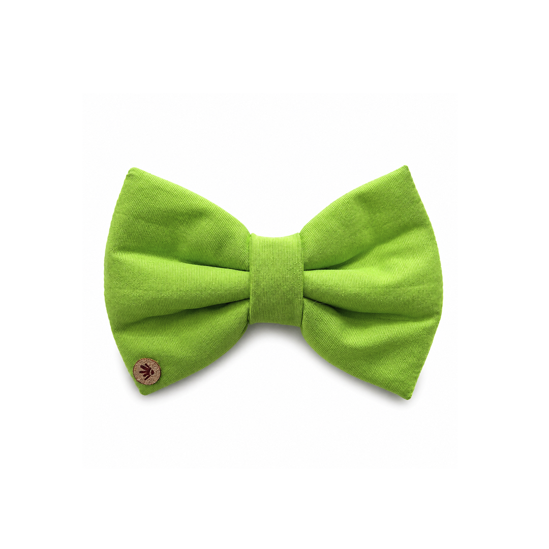 Gravata Borboleta Verde