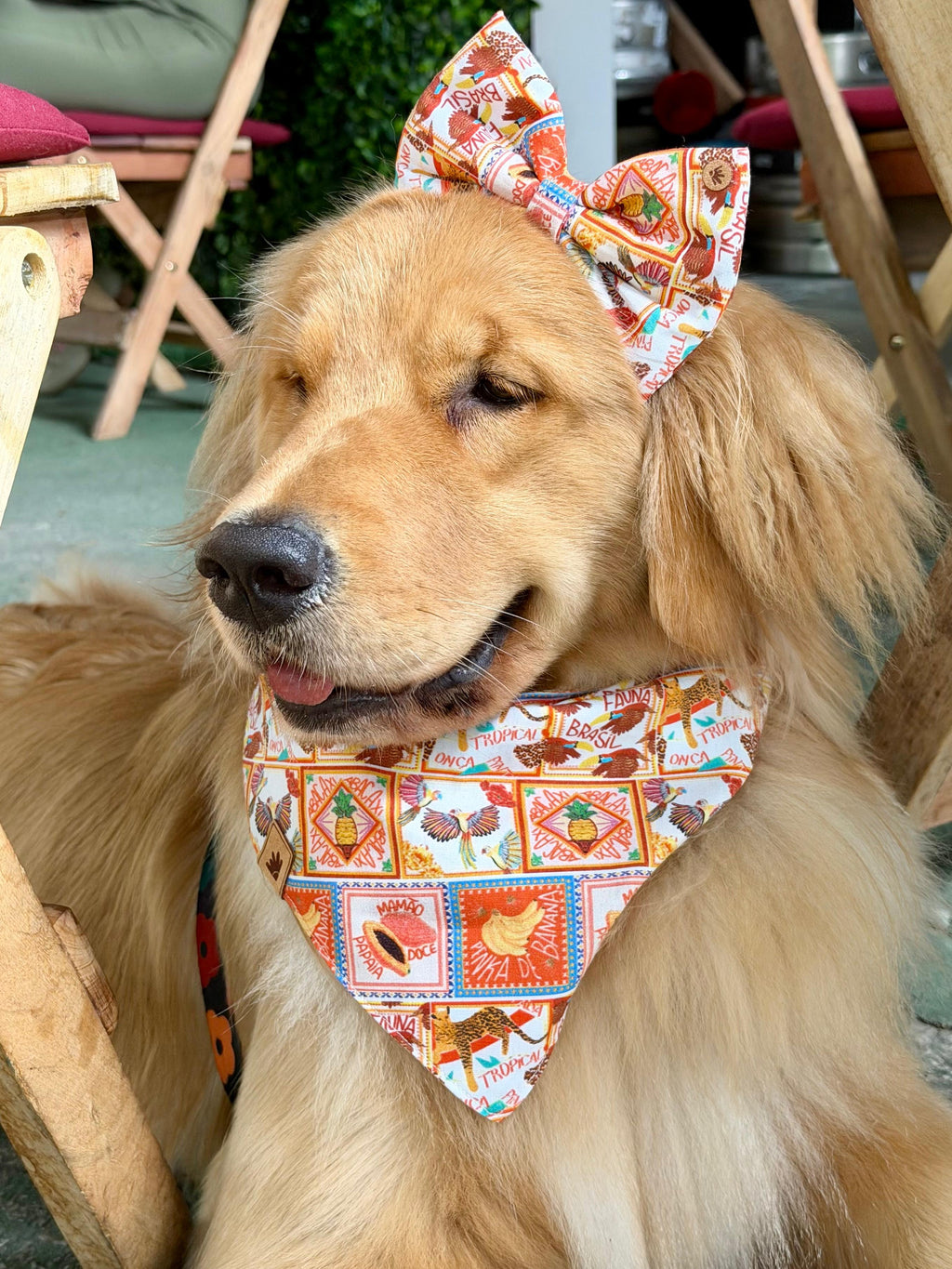 Bandana - Fauna