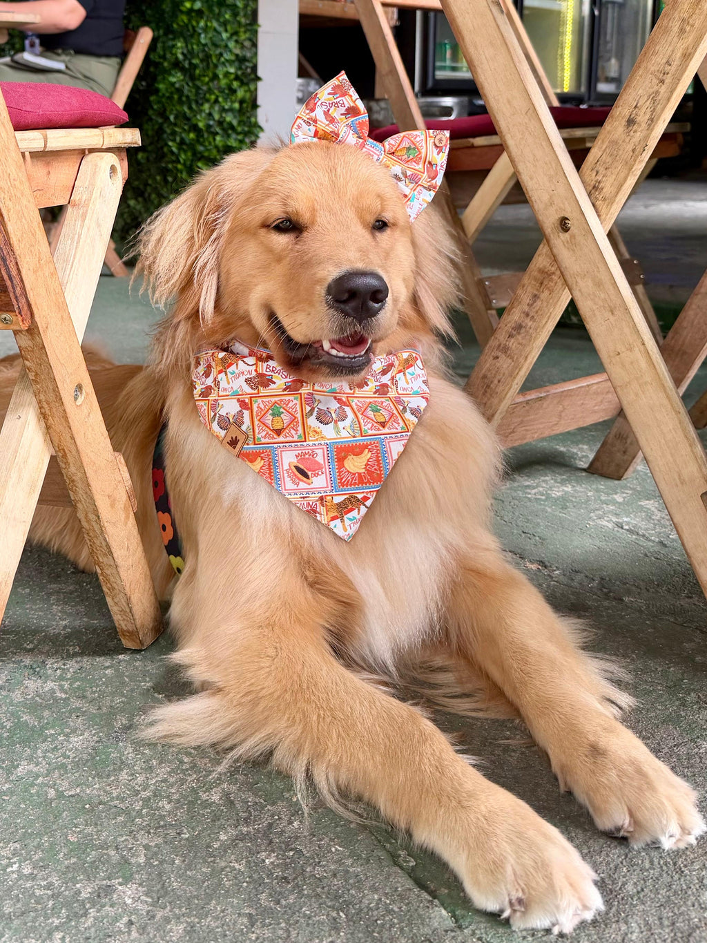 Bandana - Fauna