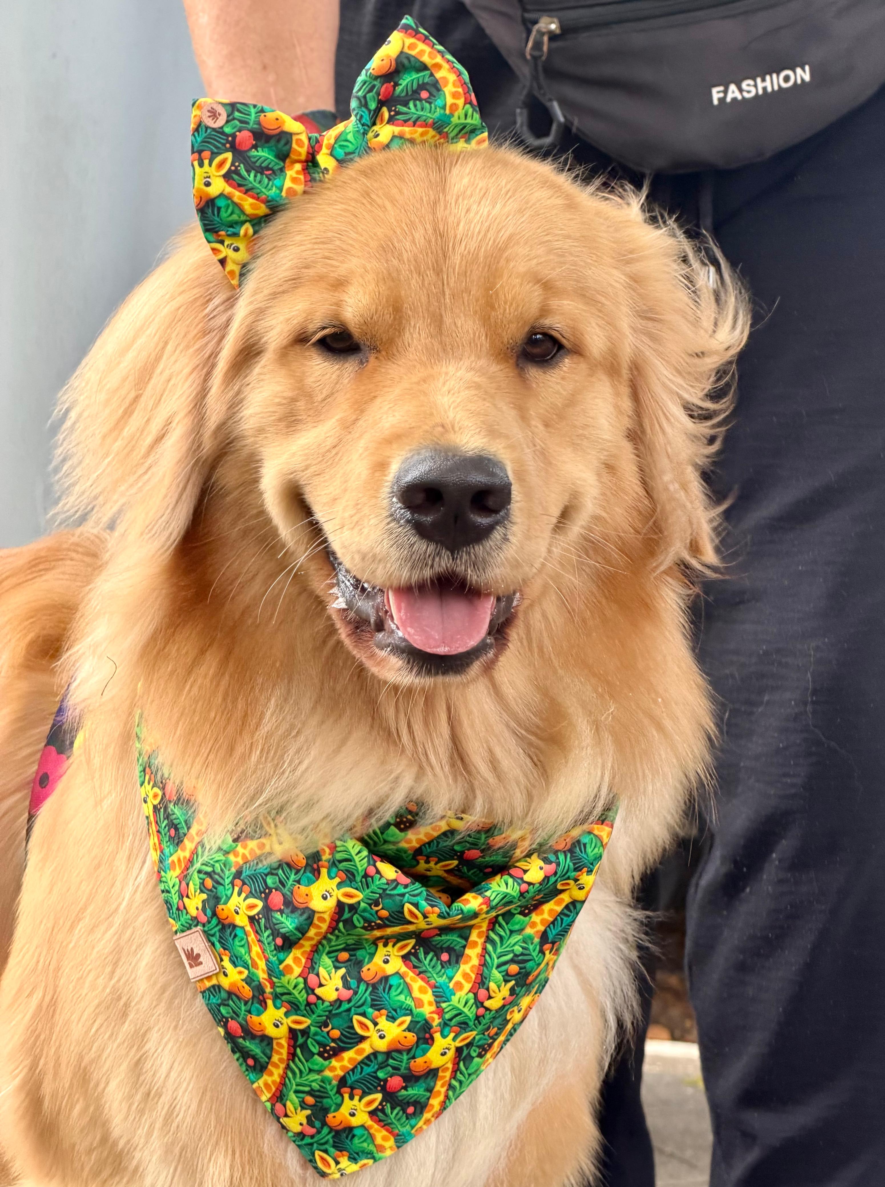 Bandana - Girafinha